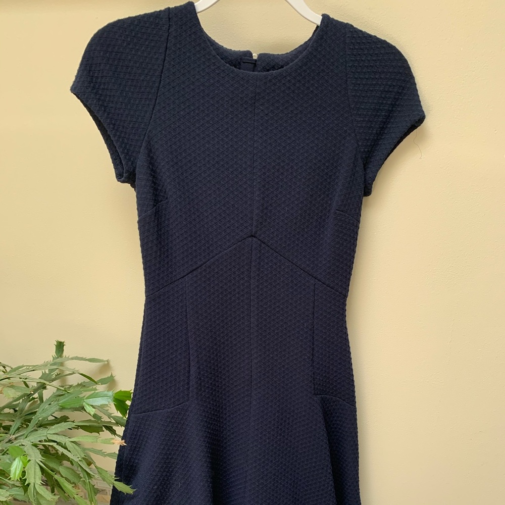 Banana Republic Navy Fit and Flare Dress